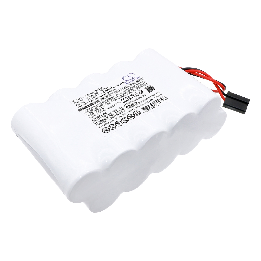 Akkumulátorok Helyettesíti a BGN7000-10FWP-T