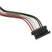 Lenovo ThinkPad X1 Fold Gen 1-20RL001KMB